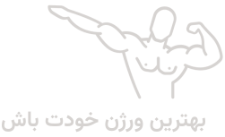 دکتر هادی برشان